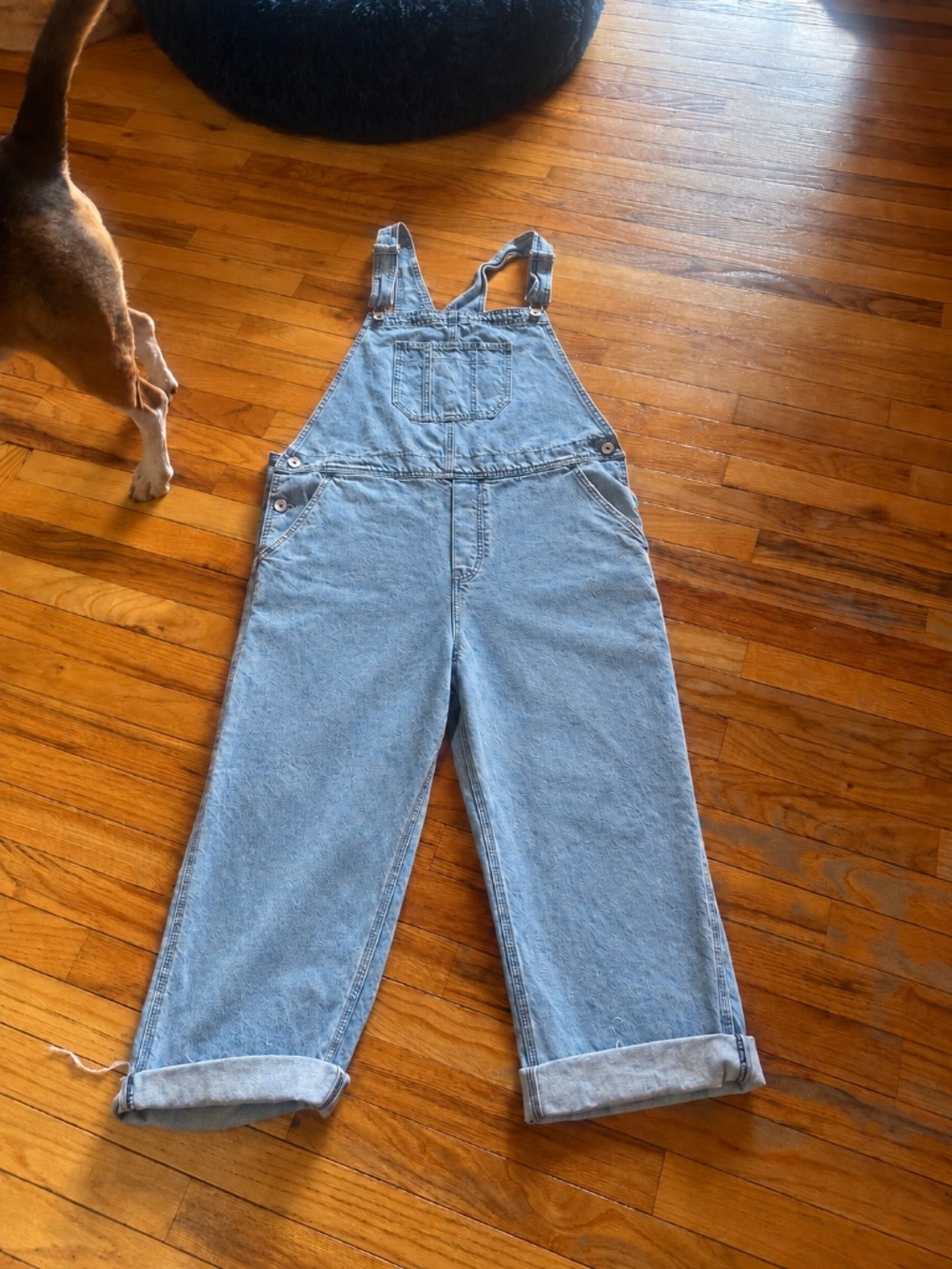 Oversized Denim Overalls
